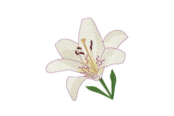 h1White Tiger Lily: A Graceful Touch for Craft Fair Embroidery Designs/h1
