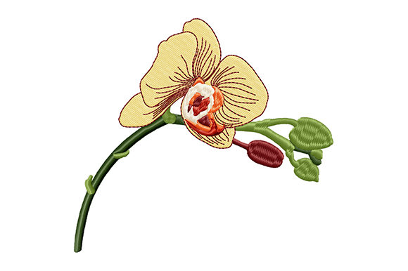 Yellow Orchid Bud Flower: A Versatile Embroidery Design for Small Shop Sellers